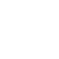 Logo de Antal International