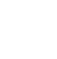 Logo de A1