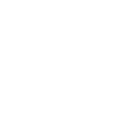 Logo de Ariel