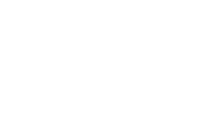 Logo de Bioaktiv