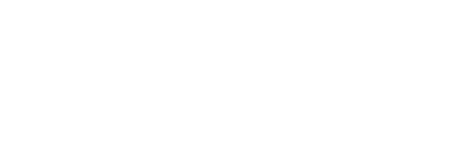 Logo de Blanka Vlašić