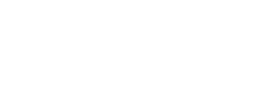 Logo de Domel