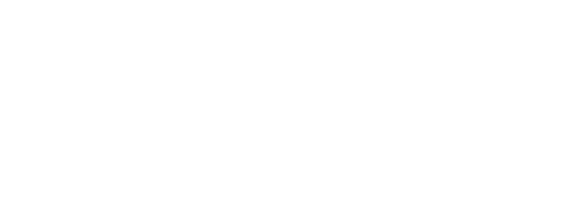 Logo de Leov Company