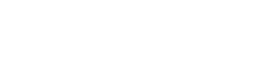 Logo de Lider