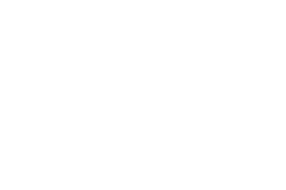 Logo de Natural Wealth