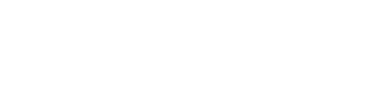 Logo de Nikel