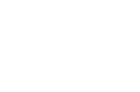 Logo de Pekabesko