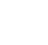 Logo de Salona