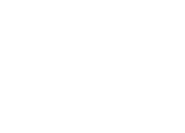 Logo de Skovin
