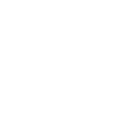 Logo de Tuzlanska so