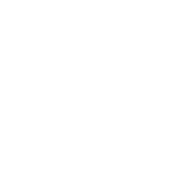 Logo de Young AI Leaders Zurich